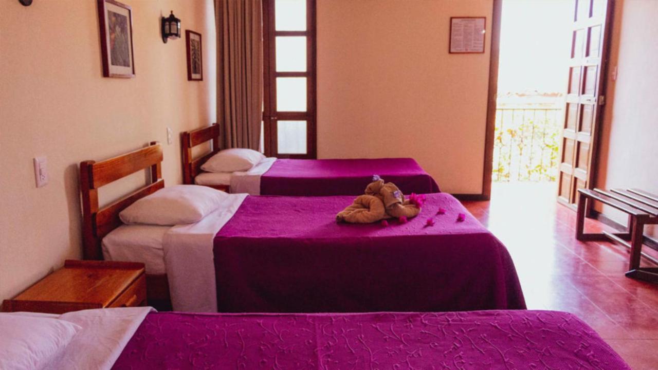 Triple Room,1007719783:JPEG