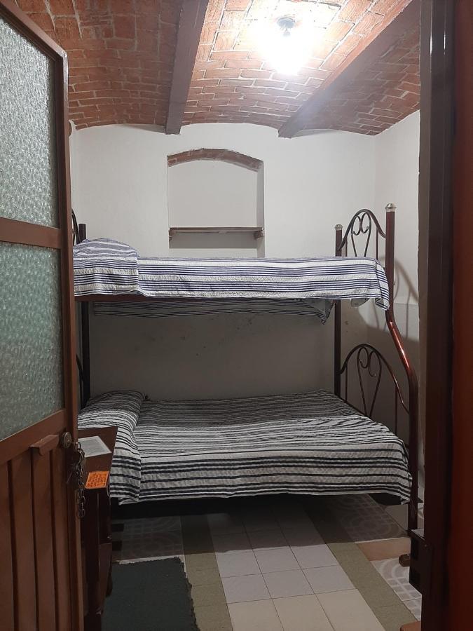 Single Bed Mixed Dormitory Room,463393320:JPEG