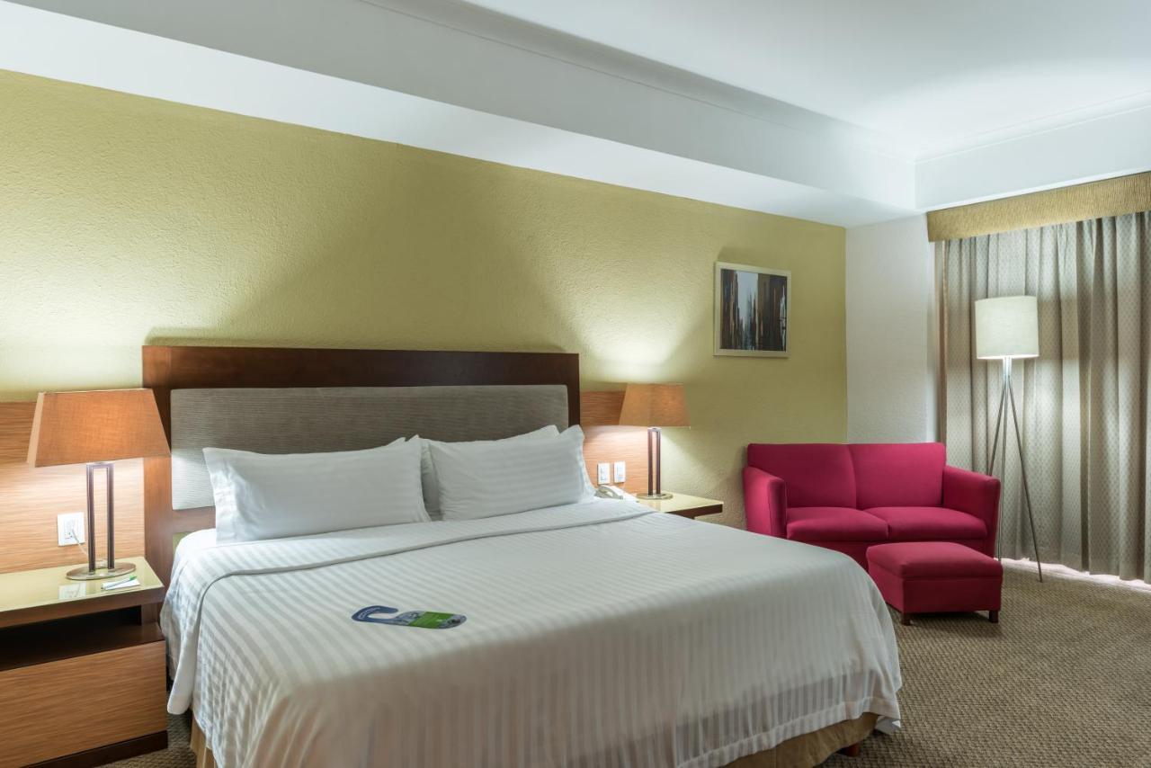 Habitación Premium con cama extragrande y bañera y ducha combinadas