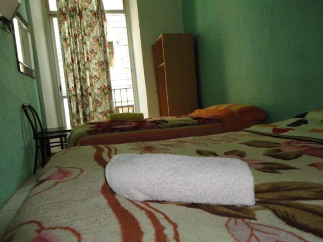 Double or Twin Room,79475580:JPEG