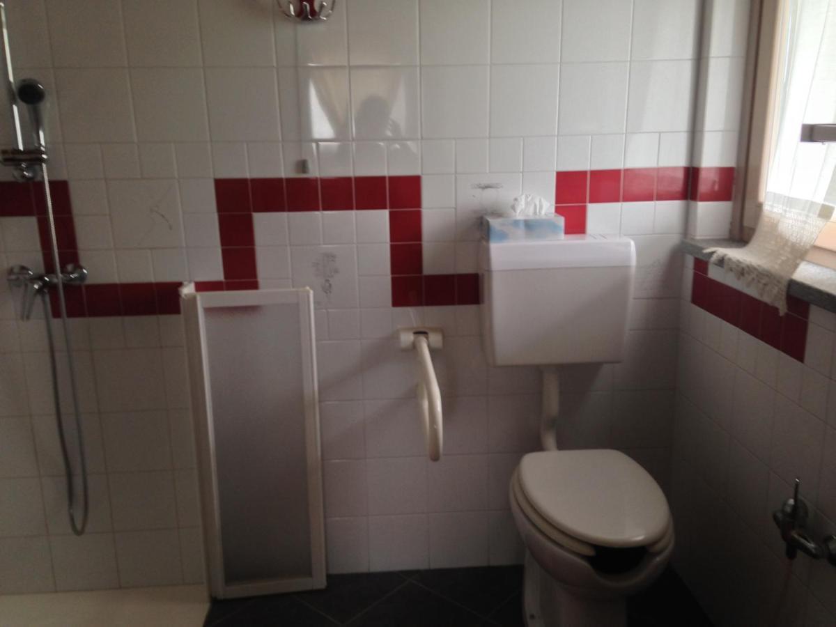 King Room Roll Shower Disability Access