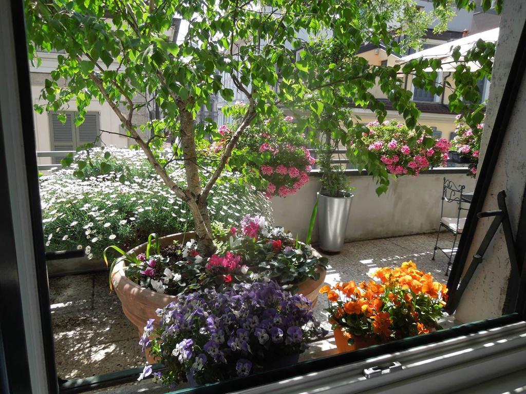Double Room Terrace,299345768:JPEG