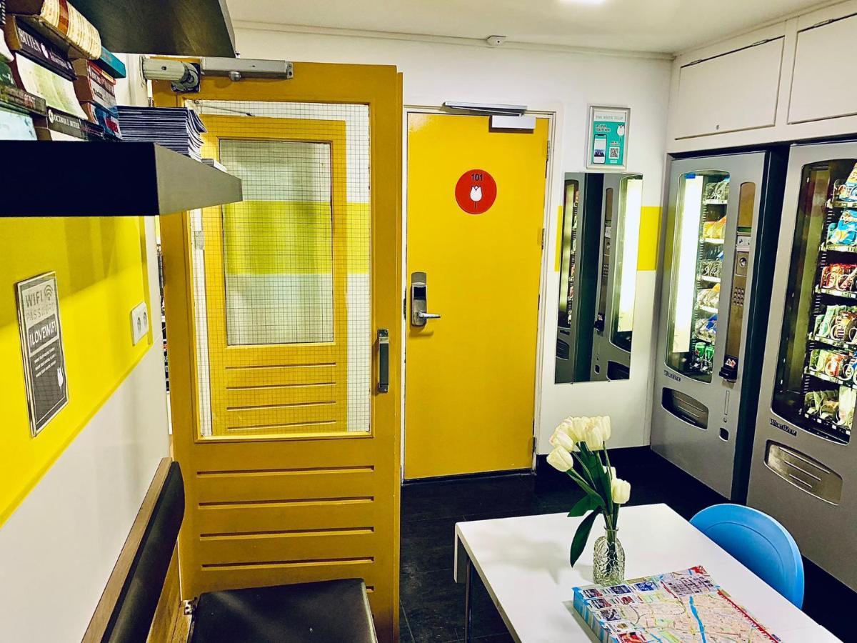 Bunk Bed Mixed Dormitory Room