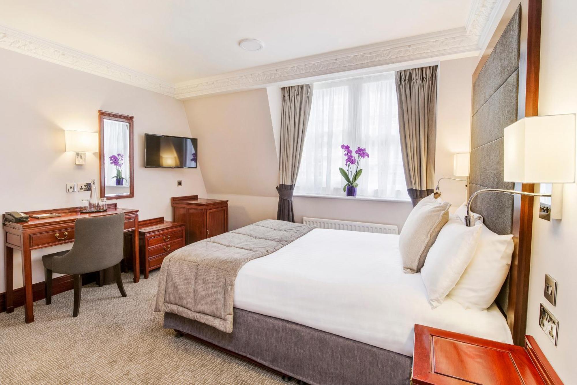Executive Room,1208646529:JPEG