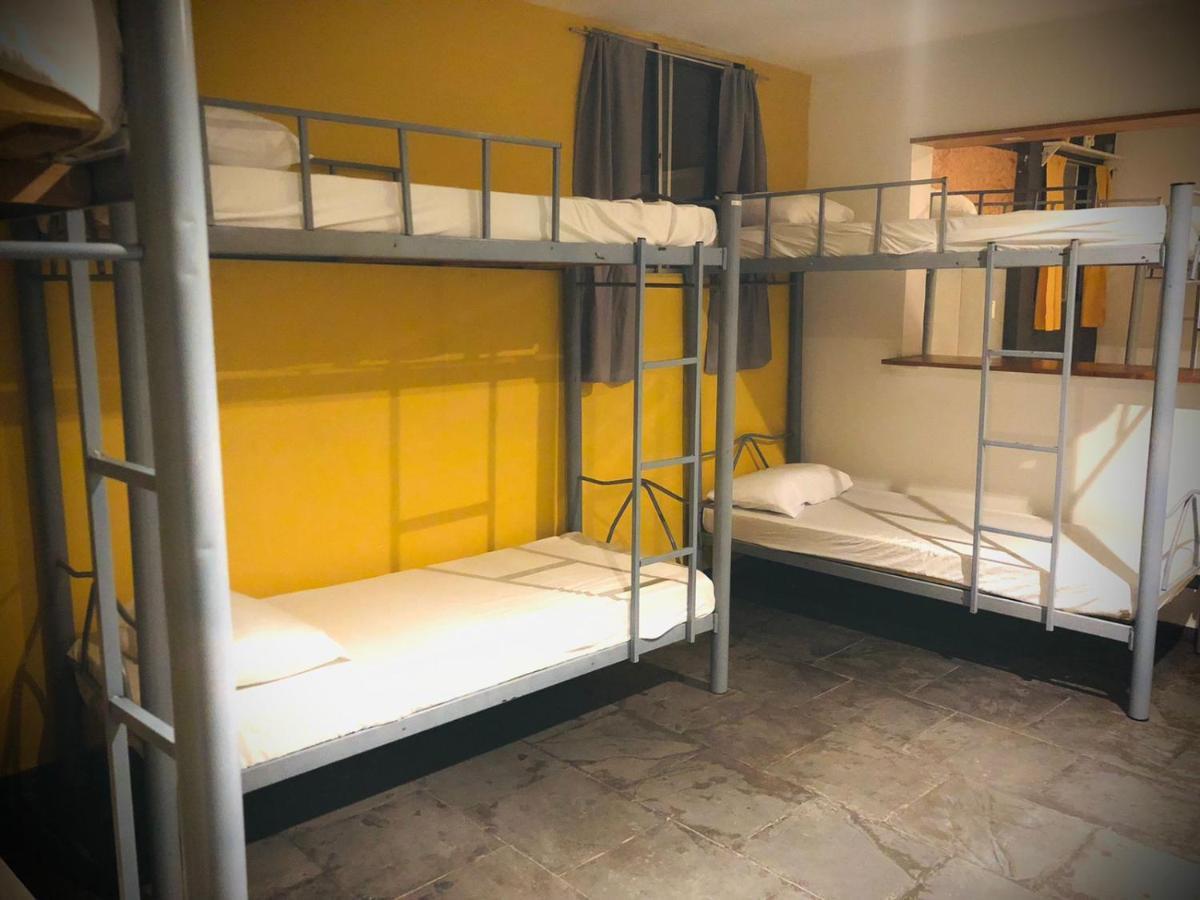 Bunk Bed Mixed Dormitory Room
