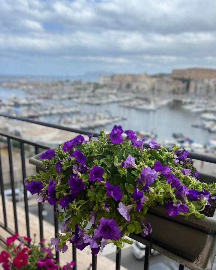 Apartment Terrace,1259895985:JPEG