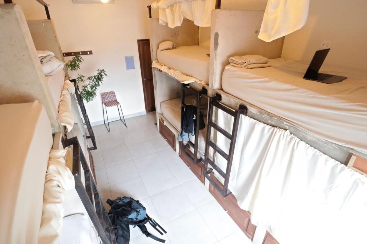 Bed 8-Bed Mixed Dormitory Room,1084330339:JPEG