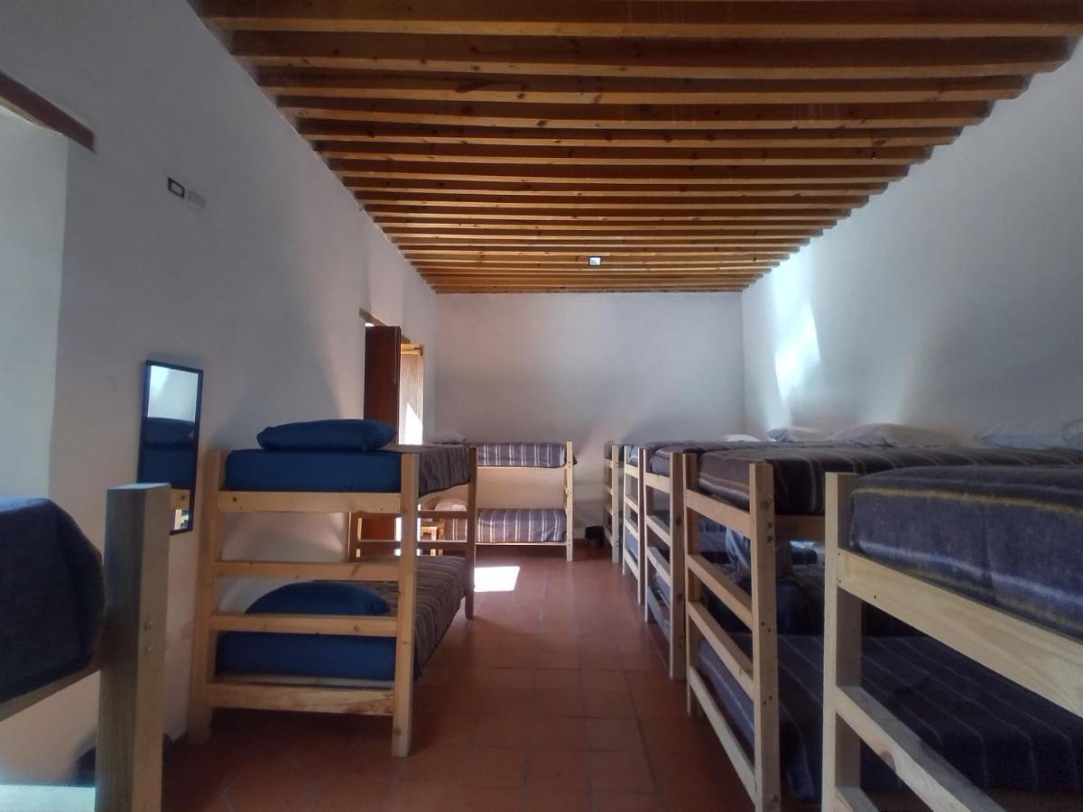 Single Bed Mixed Dormitory Room,1297385449:JPEG