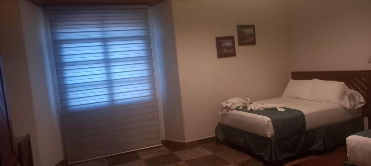 Standard Twin Room Sofa