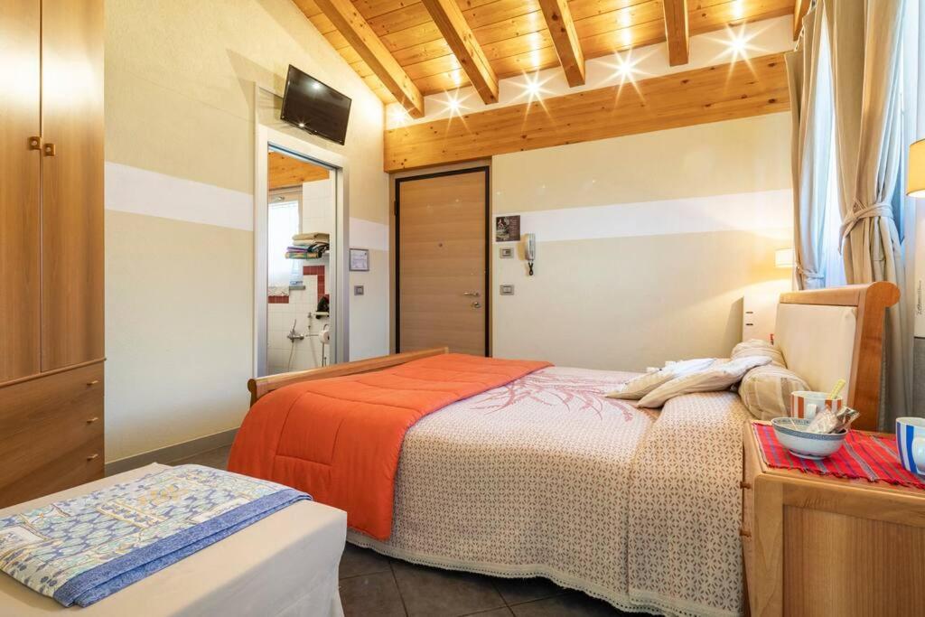 King Room Roll Shower Disability Access