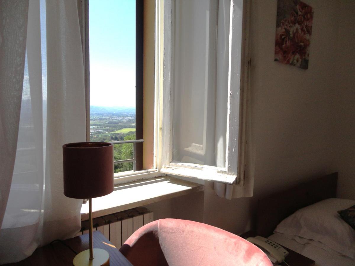 Single Room Garden View