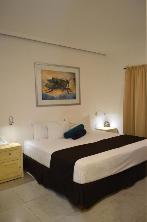 Standard Suite