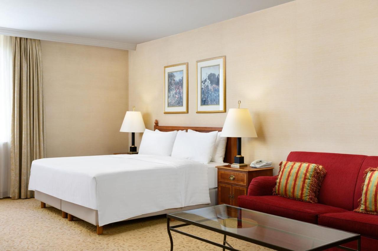 Apartamento Estudio con cama extragrande y sofá cama