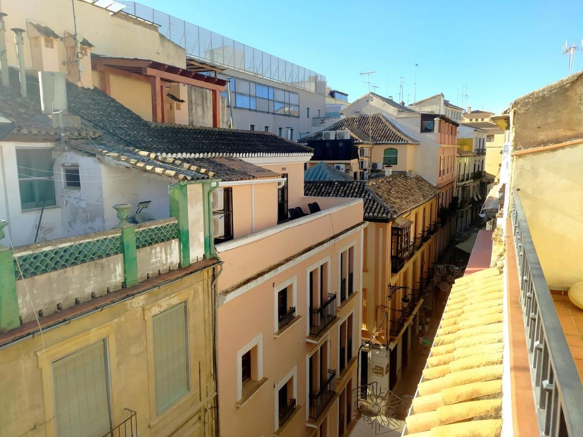Triple Room Terrace,1416619683:JPEG