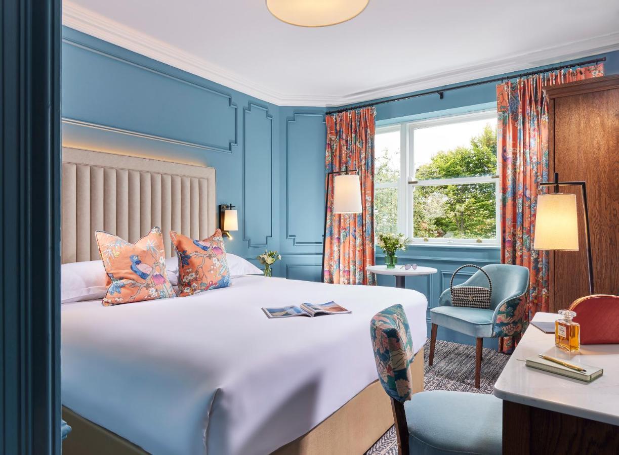 King Room,1550591836:JPEG