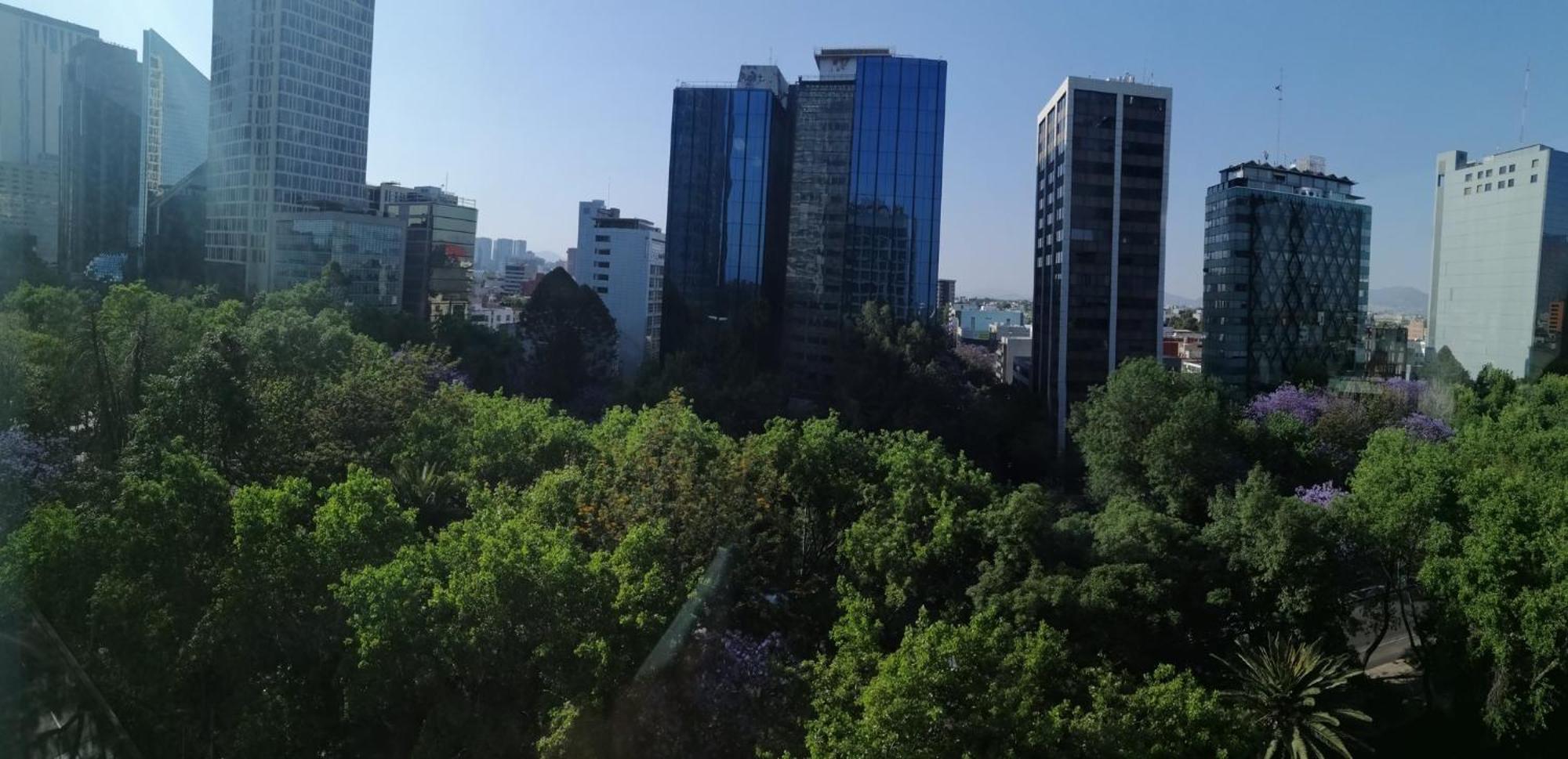Standard King Room City View