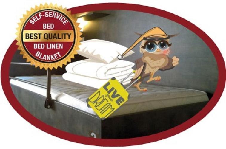 Single Bed 6-Bed Dormitory Room,1537072819:JPEG