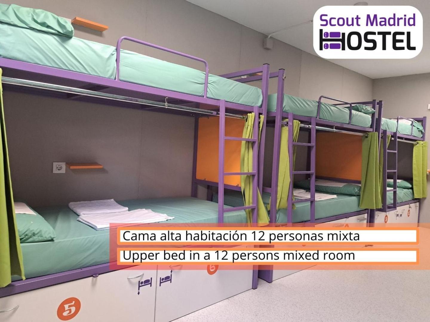 Bed 12-Bed Mixed Dormitory Room,712171489:JPEG