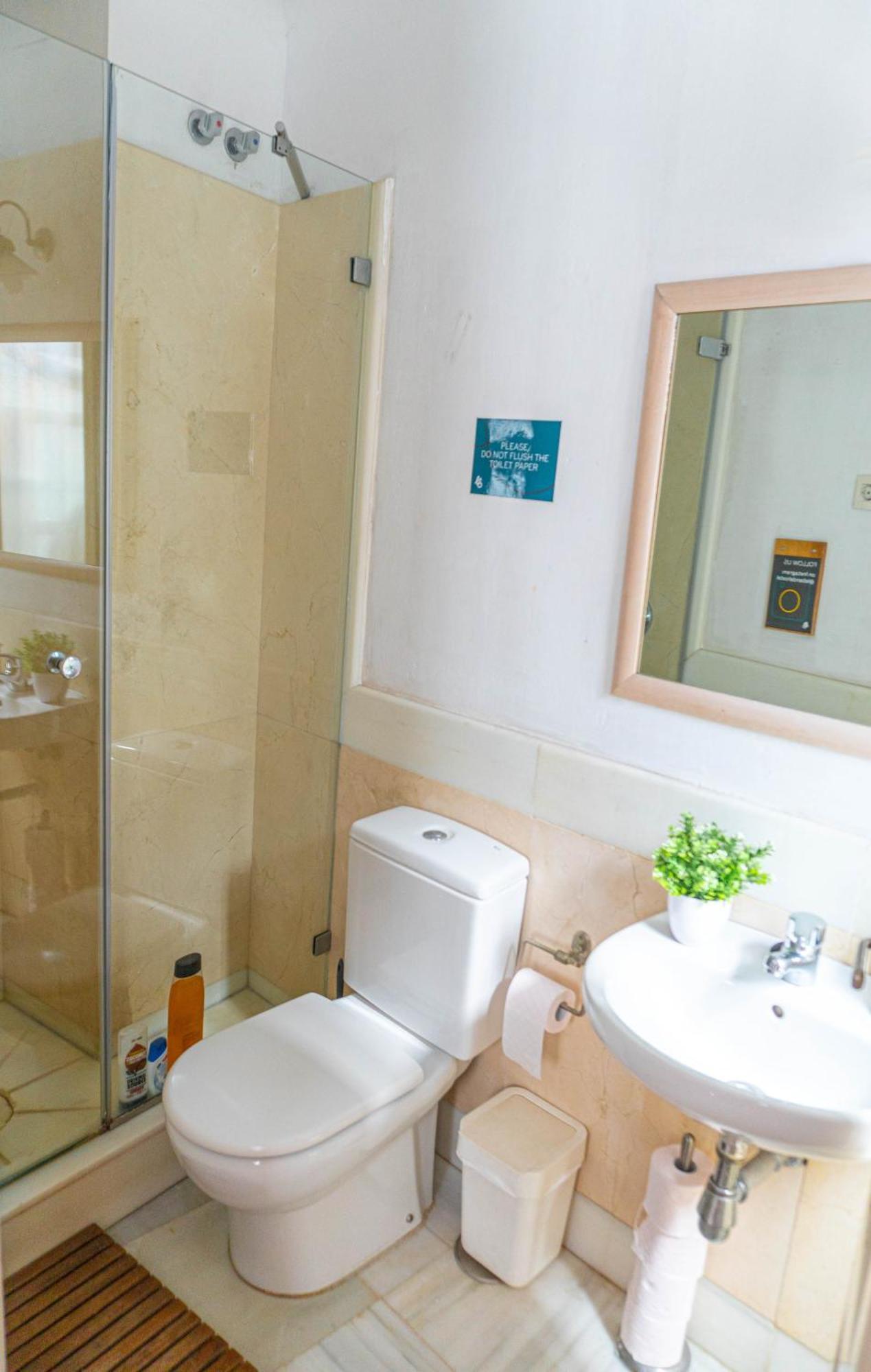 Bed 4-Bed Mixed Superior Dormitory Room private Bathroom,1547037442:JPEG
