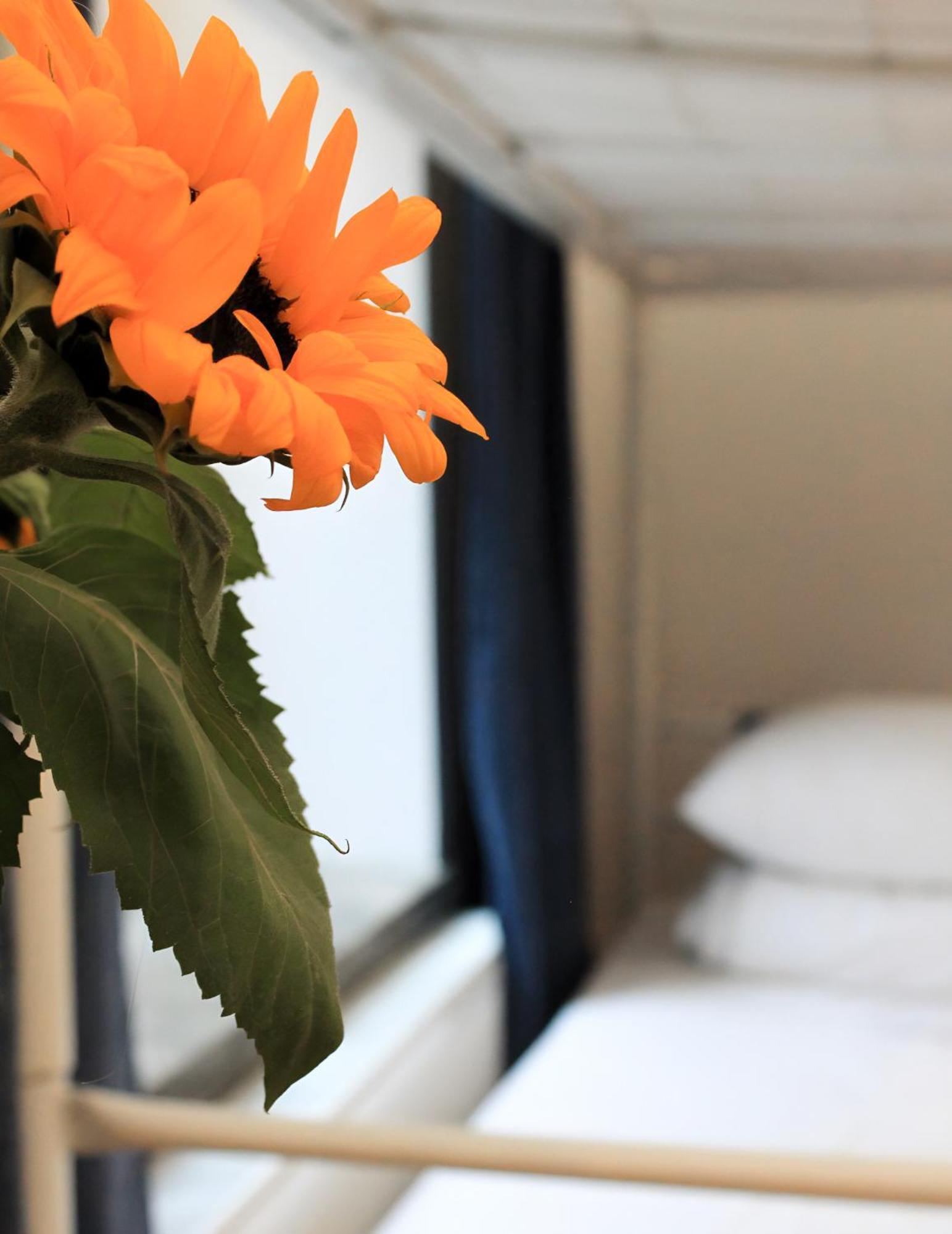 Bed 4-Bed Dormitory Room Deluxe