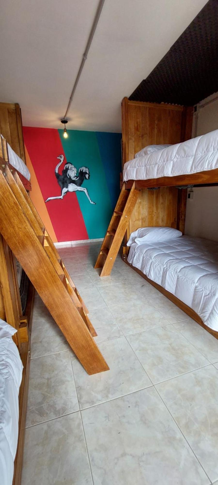 Bed 8-Bed Dormitory Room,1724849660:JPEG