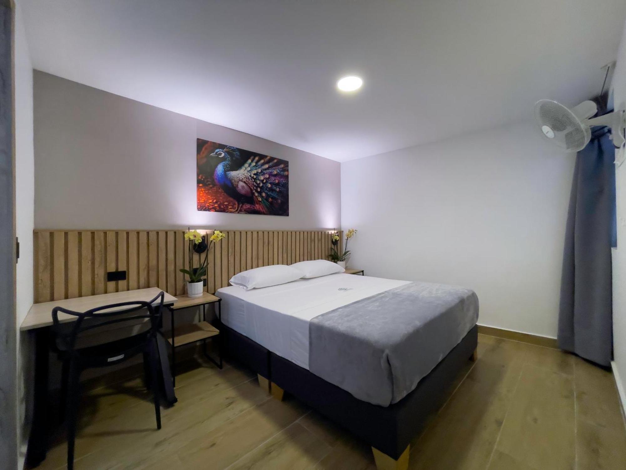 Deluxe Queen Room,1556333482:JPEG