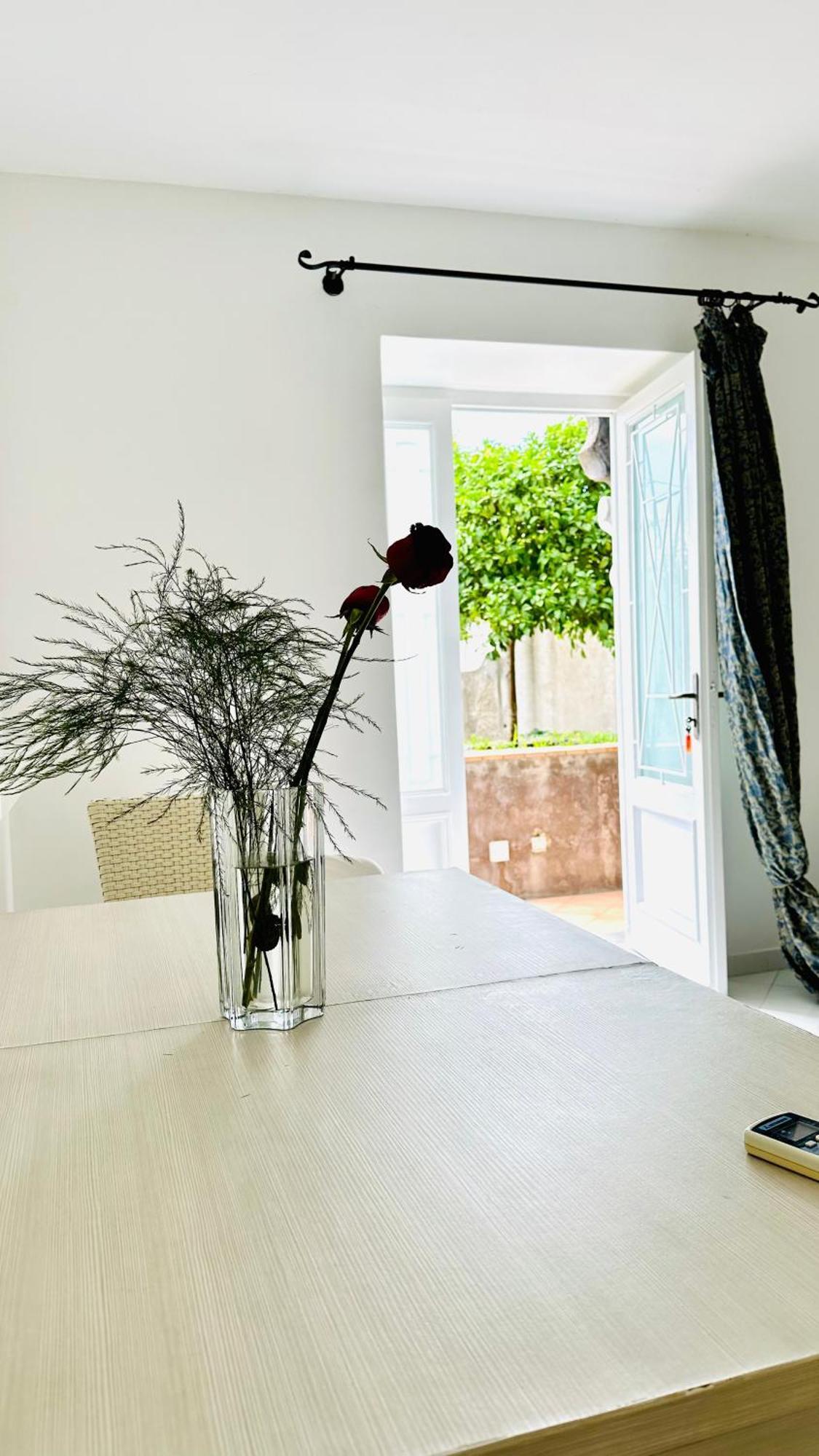 Family Room Garden View,1557175231:JPEG