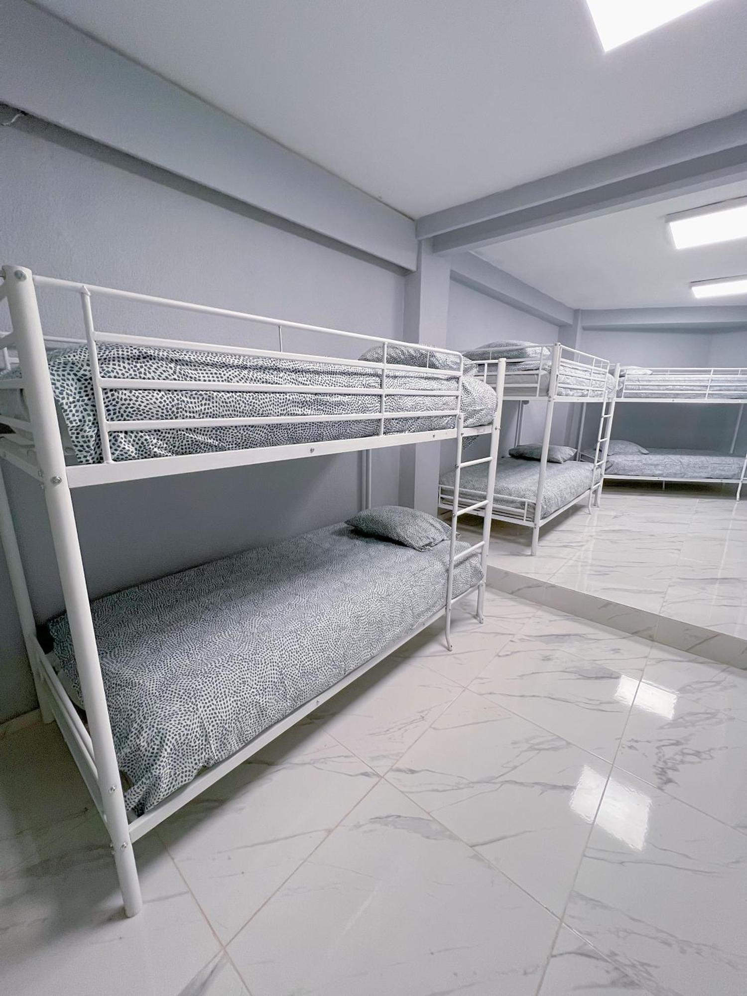 Bunk Bed Mixed Dormitory Room