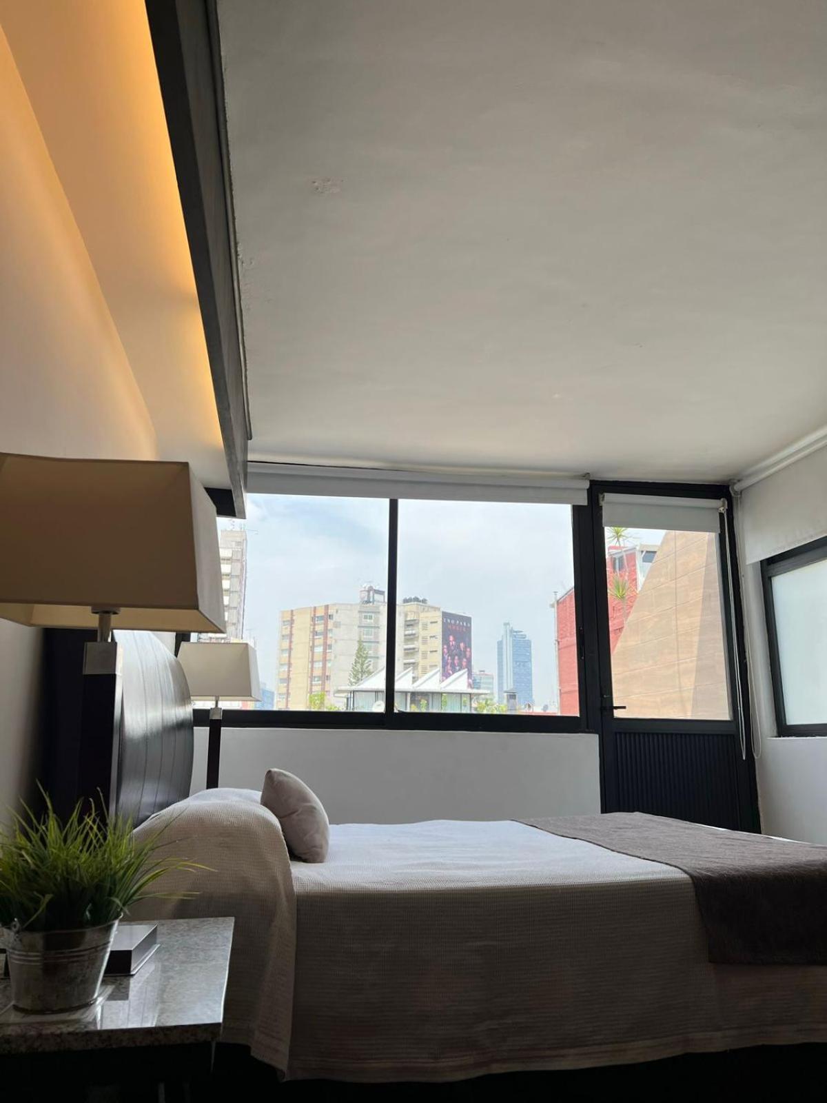 Deluxe One-Bedroom Apartment,125361486:JPEG