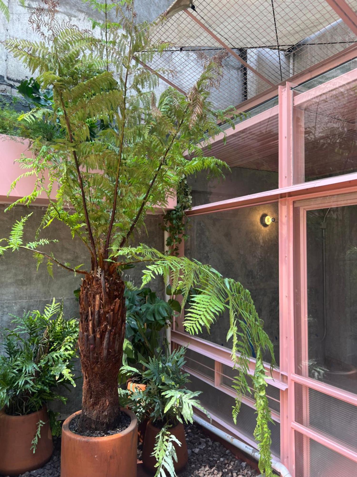Studio Terrace,1611350754:JPEG