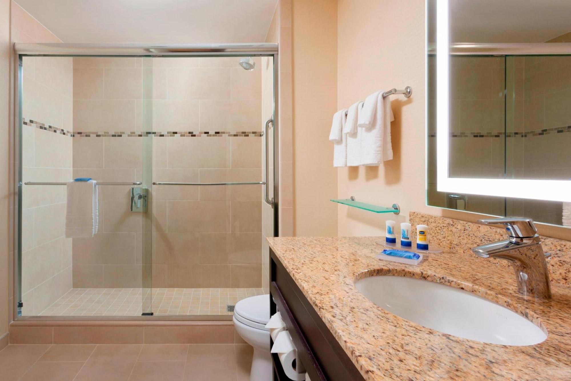 One-Bedroom King Suite Roll Shower Transfer Shower Sofa Bed Mobility Access or Hearing Accessible