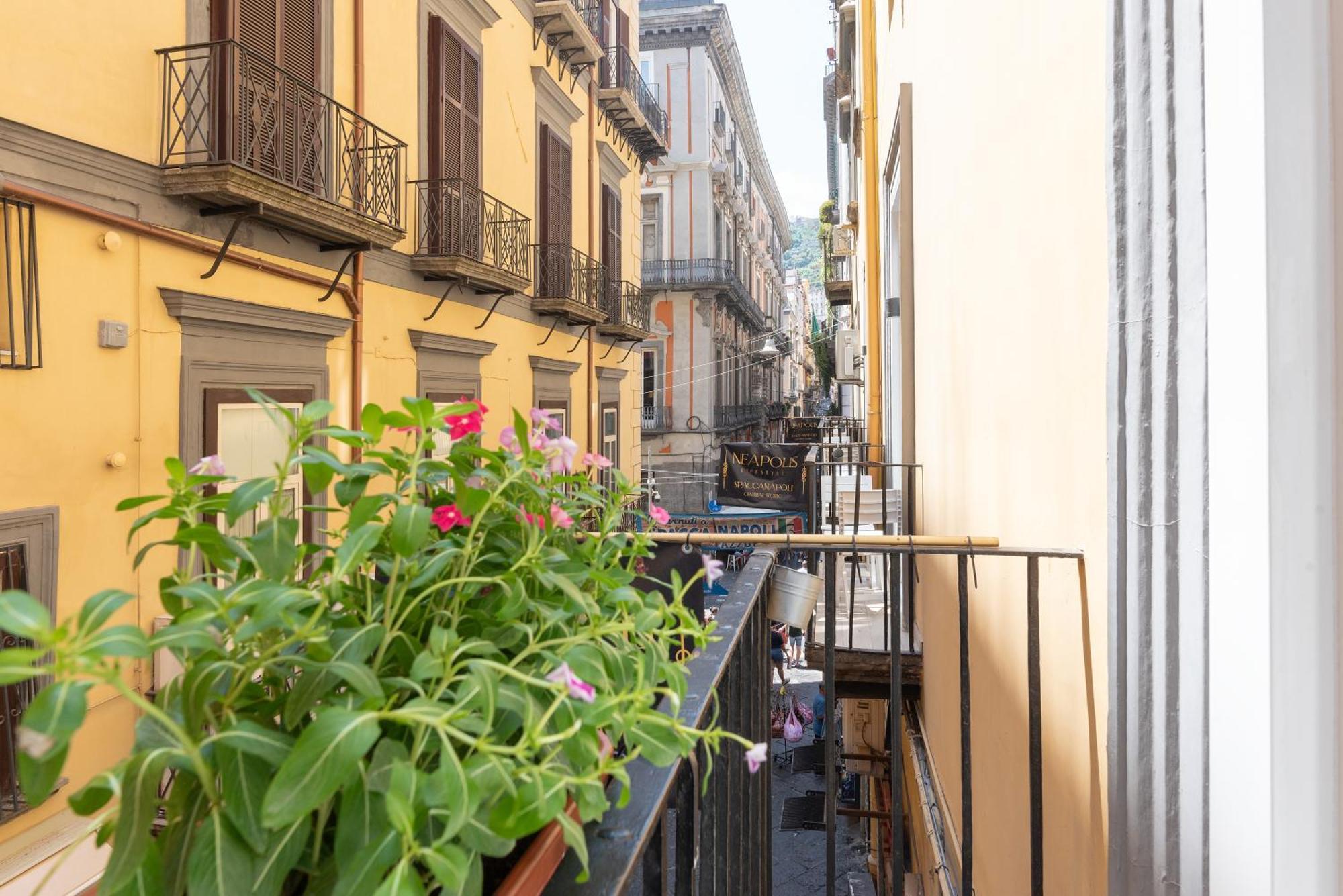 Double Room with Balcony,1604103221:JPEG