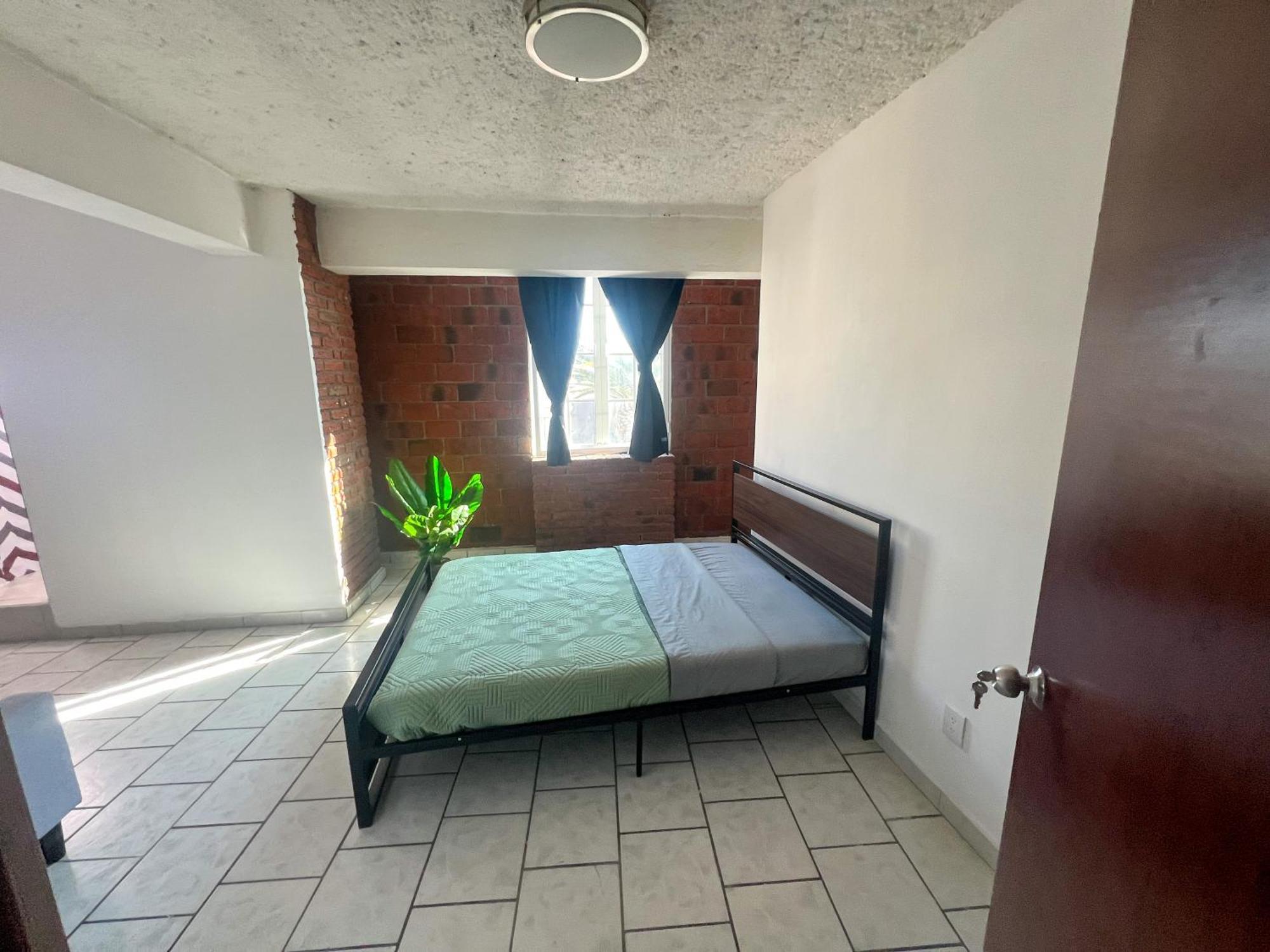 Suite Junior con vistas al jardín