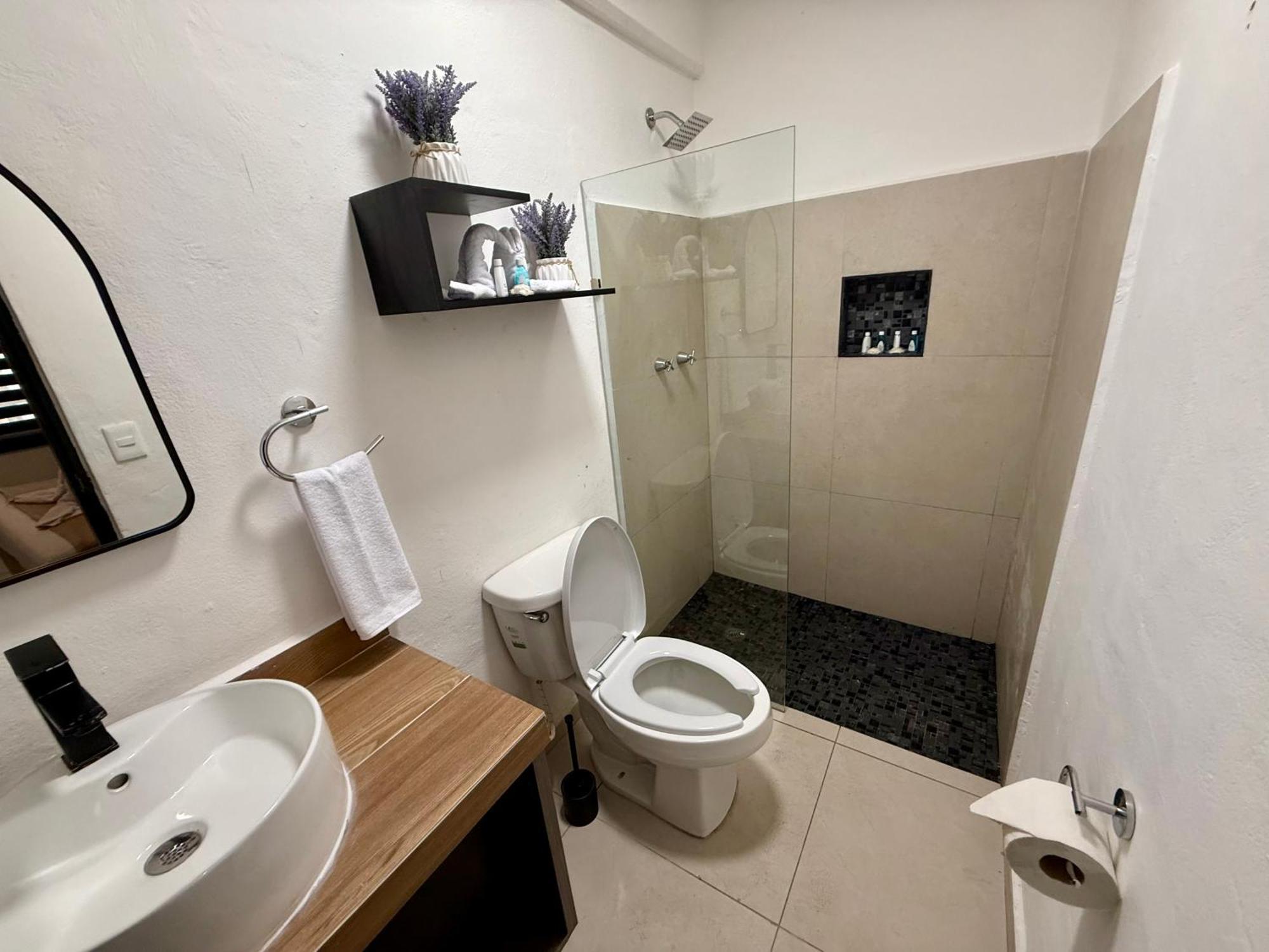 Deluxe King Suite,1638886063:JPEG