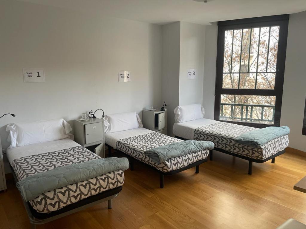 Single Bed Female Dormitory Room,1653543080:JPEG