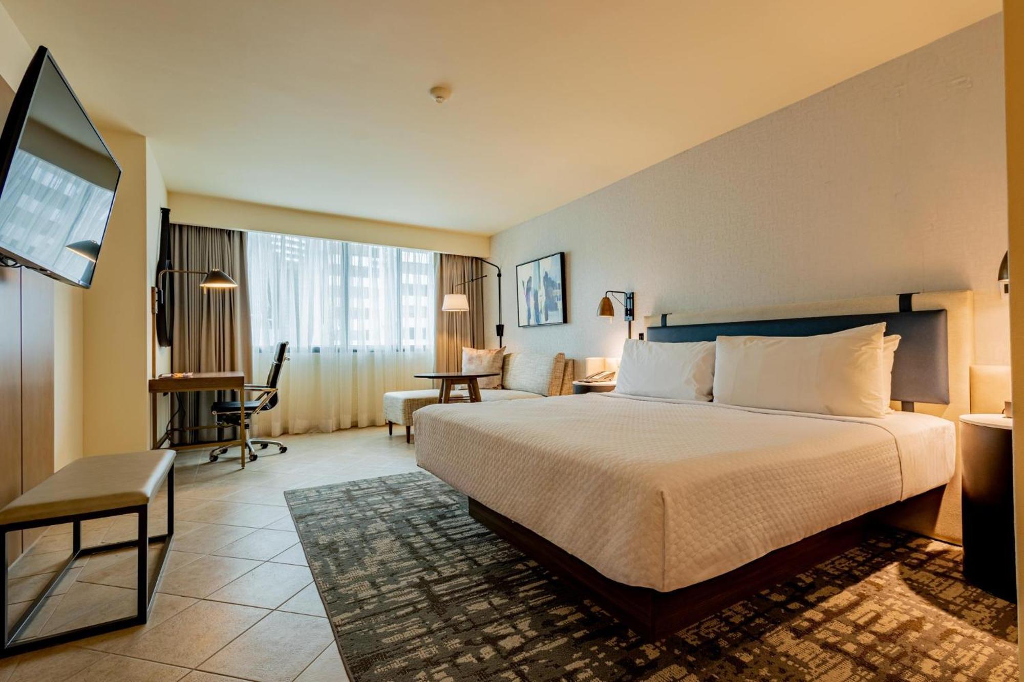Habitación Premium con cama extragrande