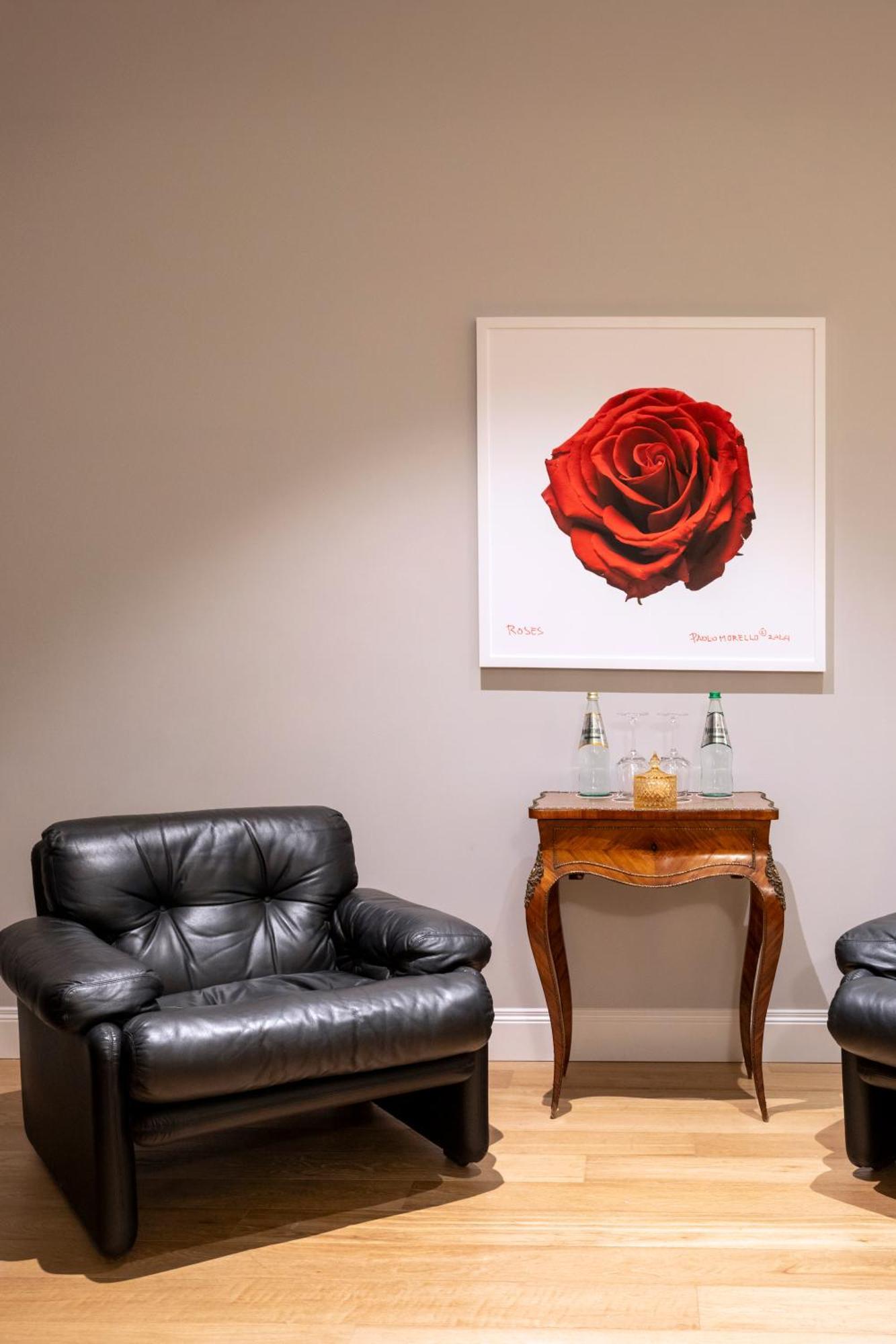 Superior Suite,1681715359:JPEG