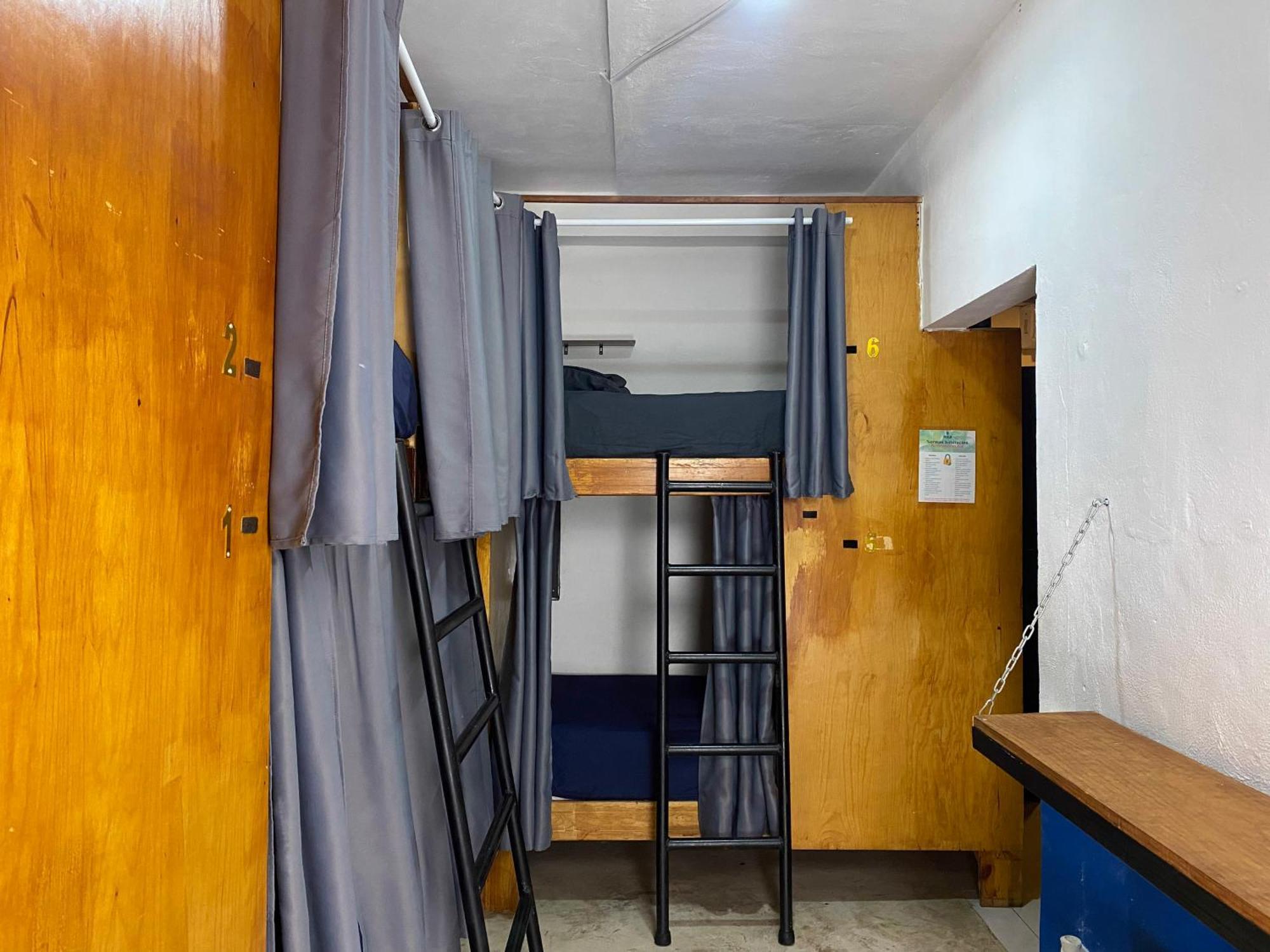 Single Bed 11-Bed Mixed Dormitory Room,1699226214:JPEG
