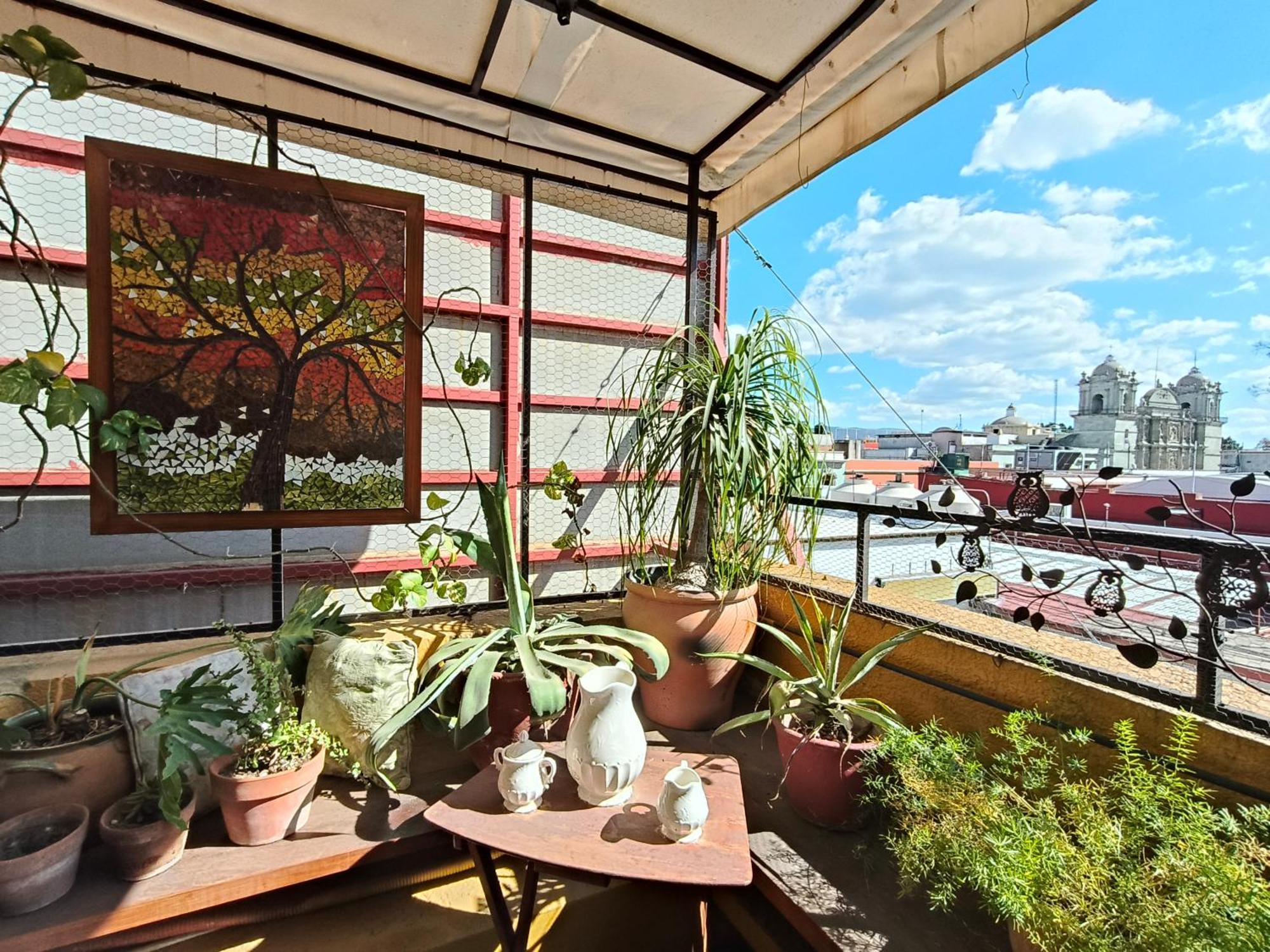 Suite Terrace