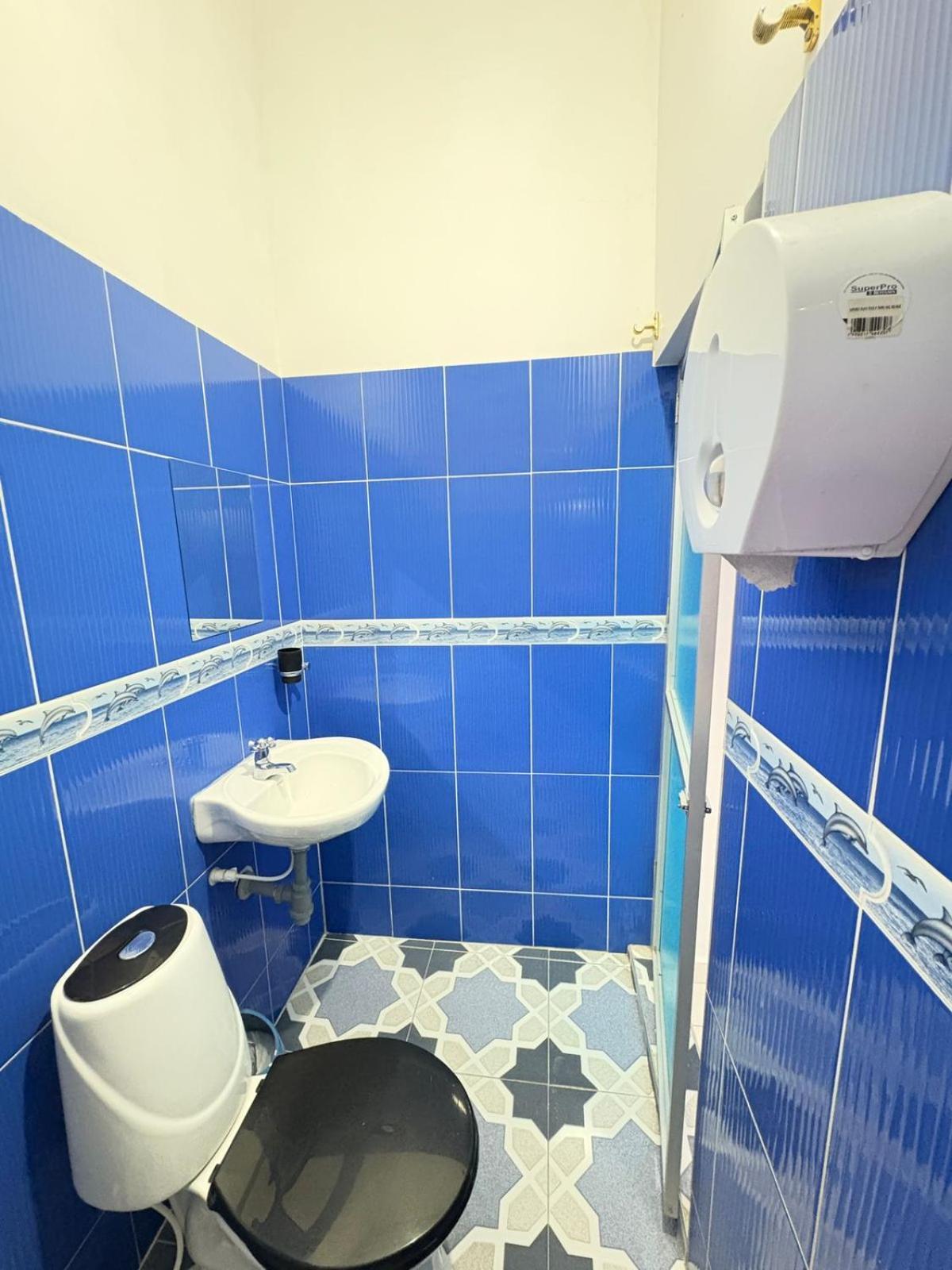 Estudio Triple Estándar