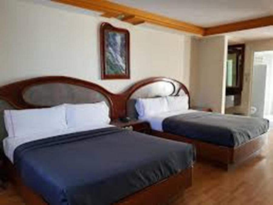 Habitación Doble Estándar con 2 camas dobles - No fumadores