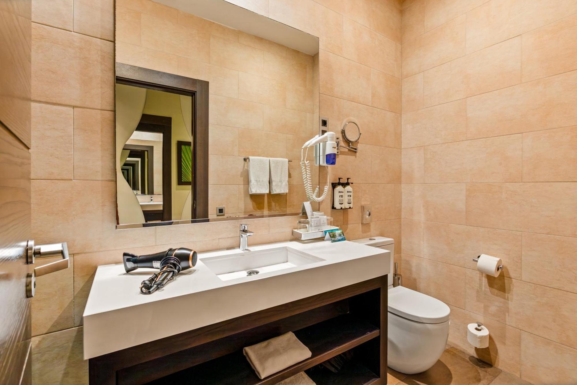 Premium King Room City View