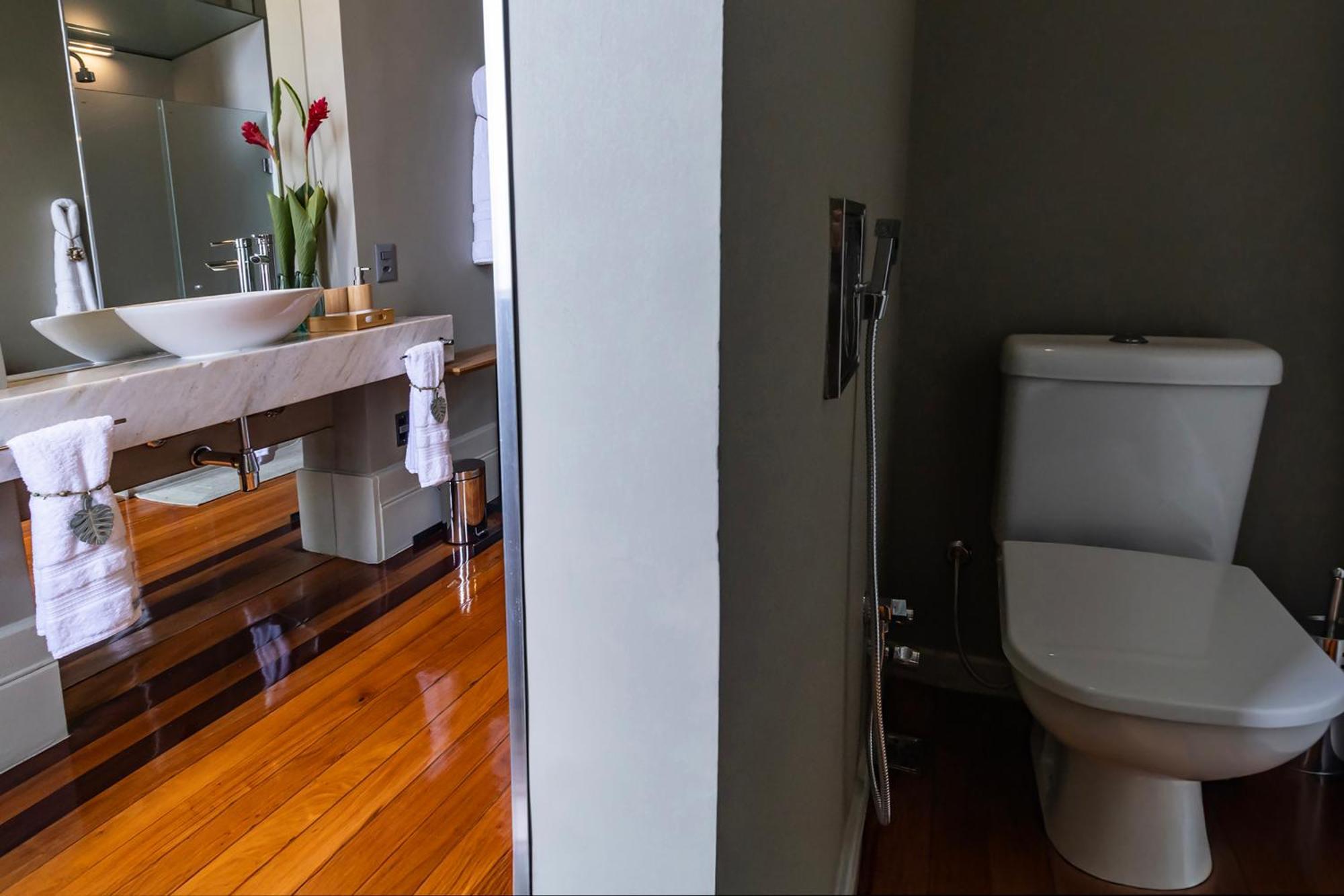 Deluxe Double or Twin Room with City View,1742816256:JPEG