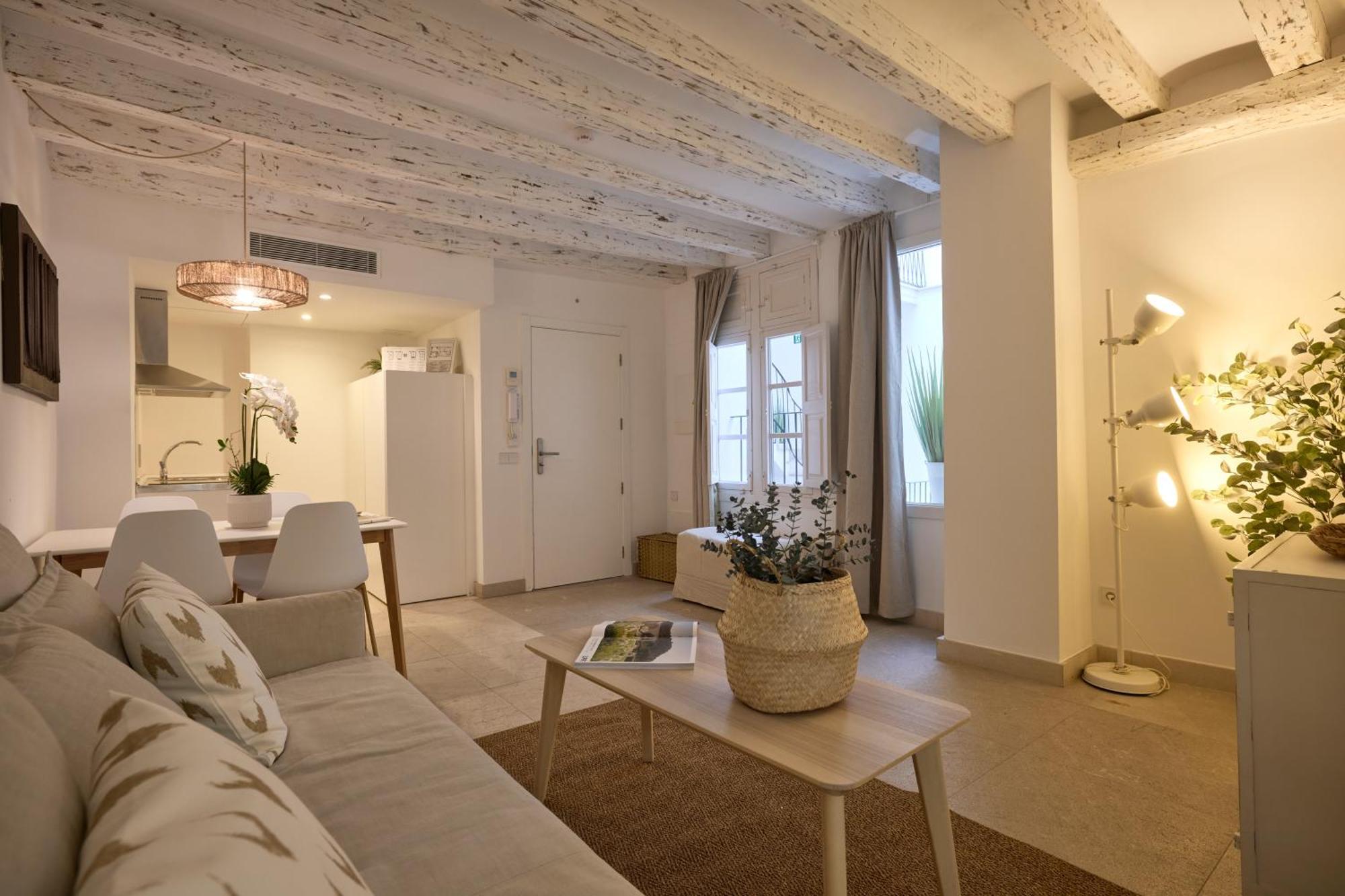 Duplex Apartment