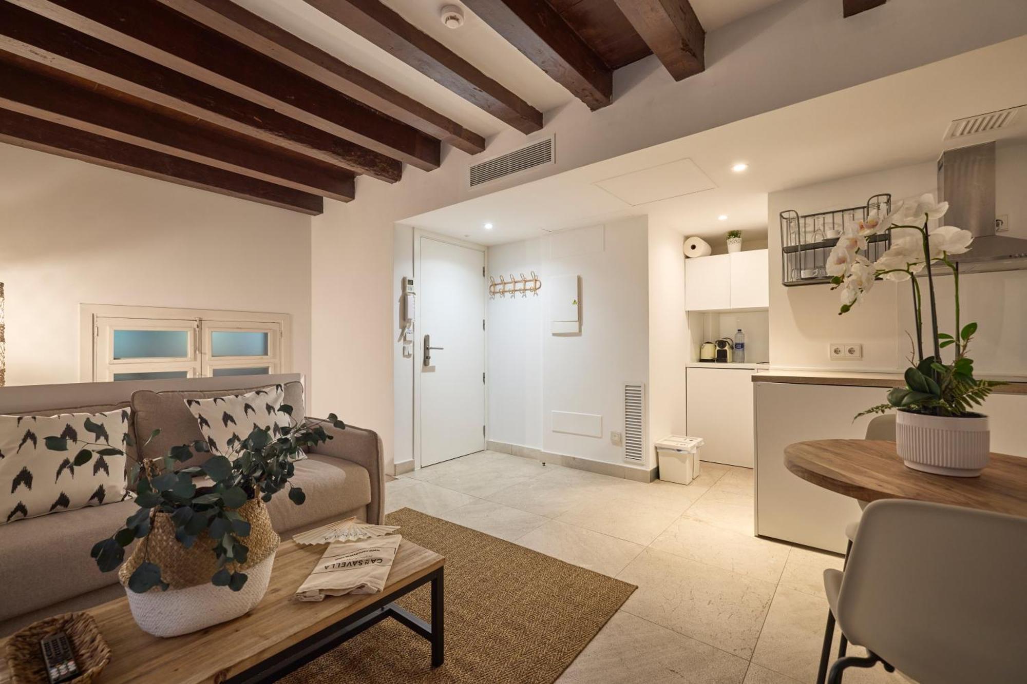 Duplex Apartment