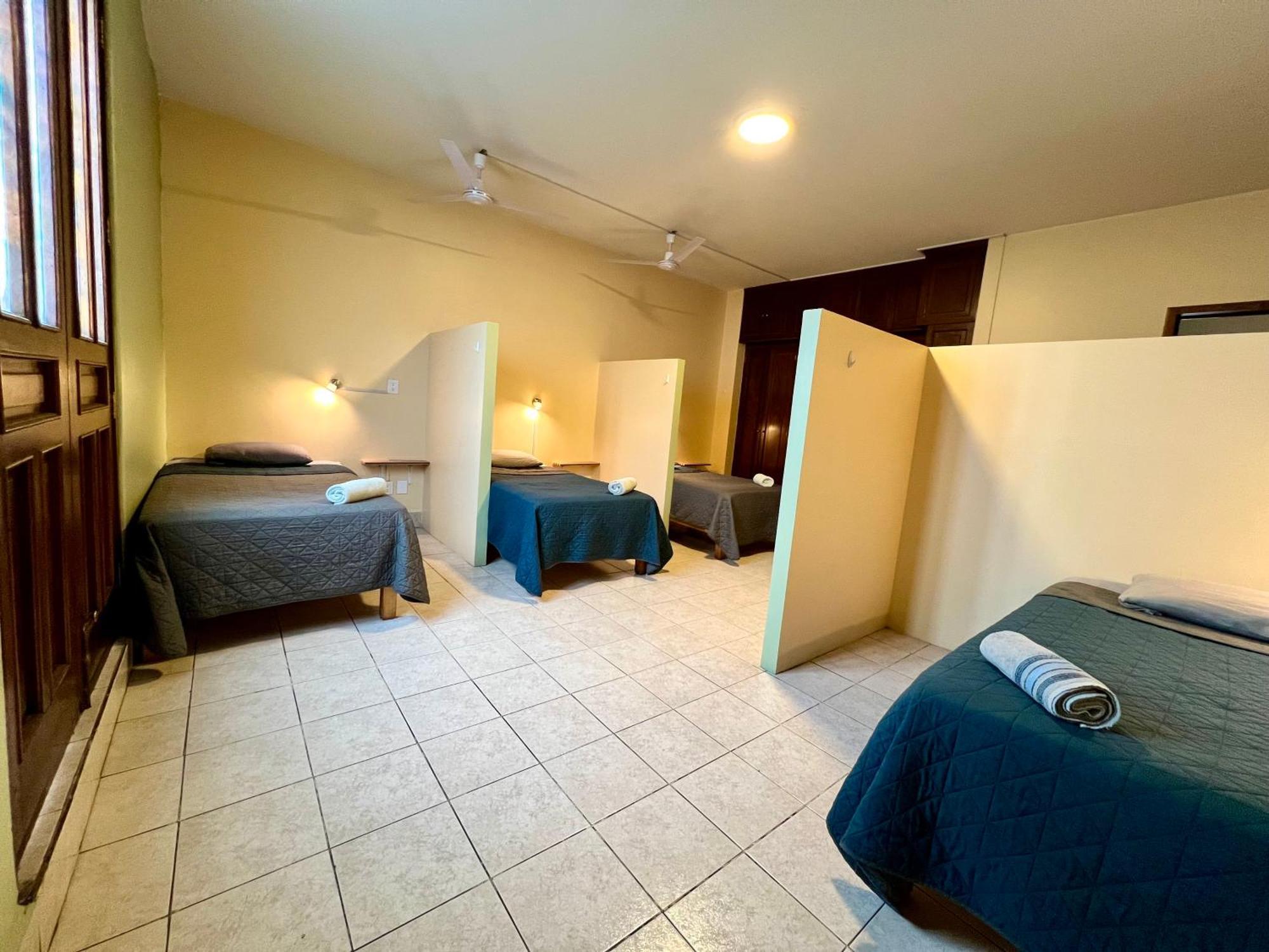 Single Bed 4-Bed Dormitory Room,1743288206:JPEG