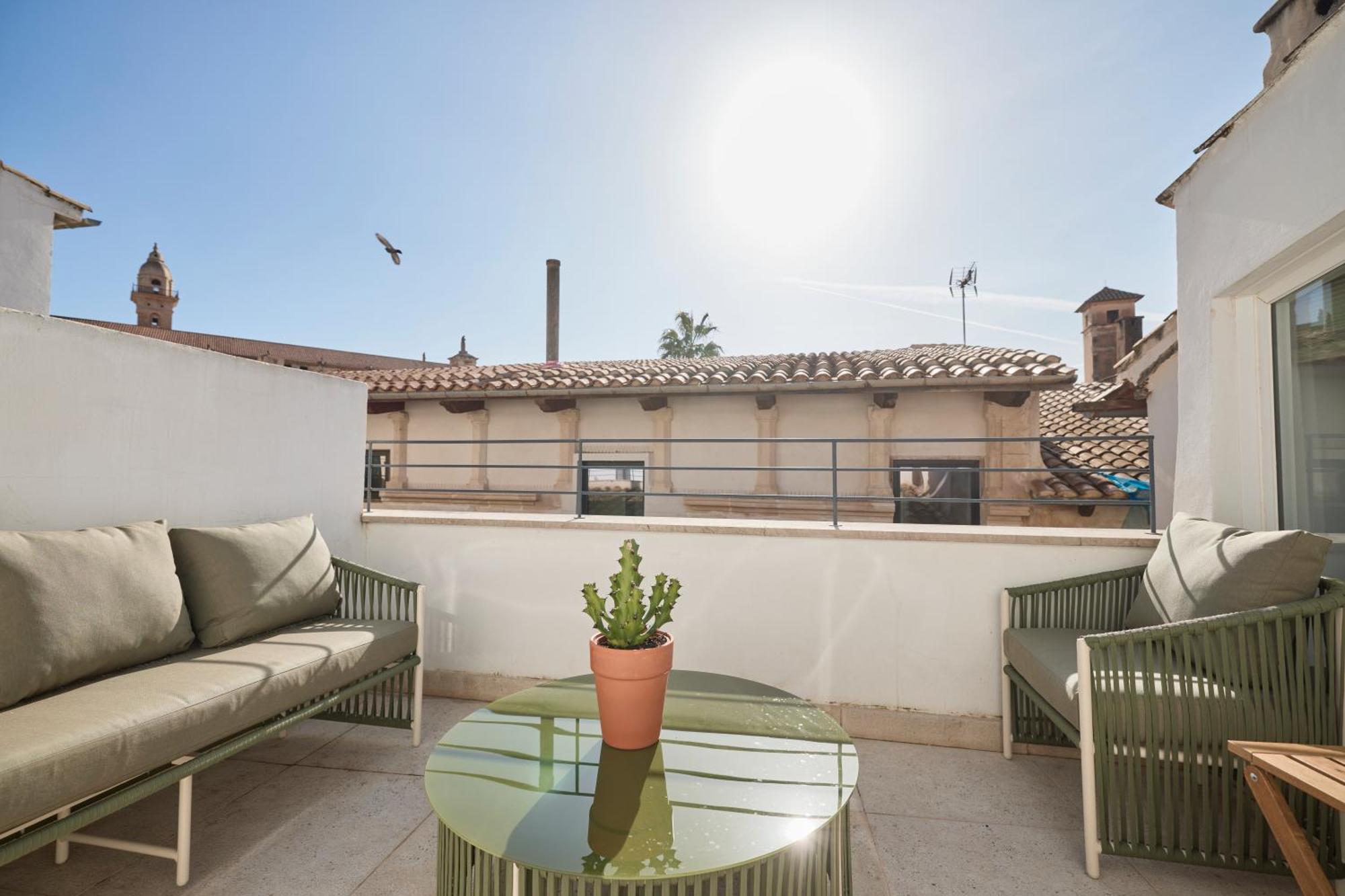 Apartment Terrace