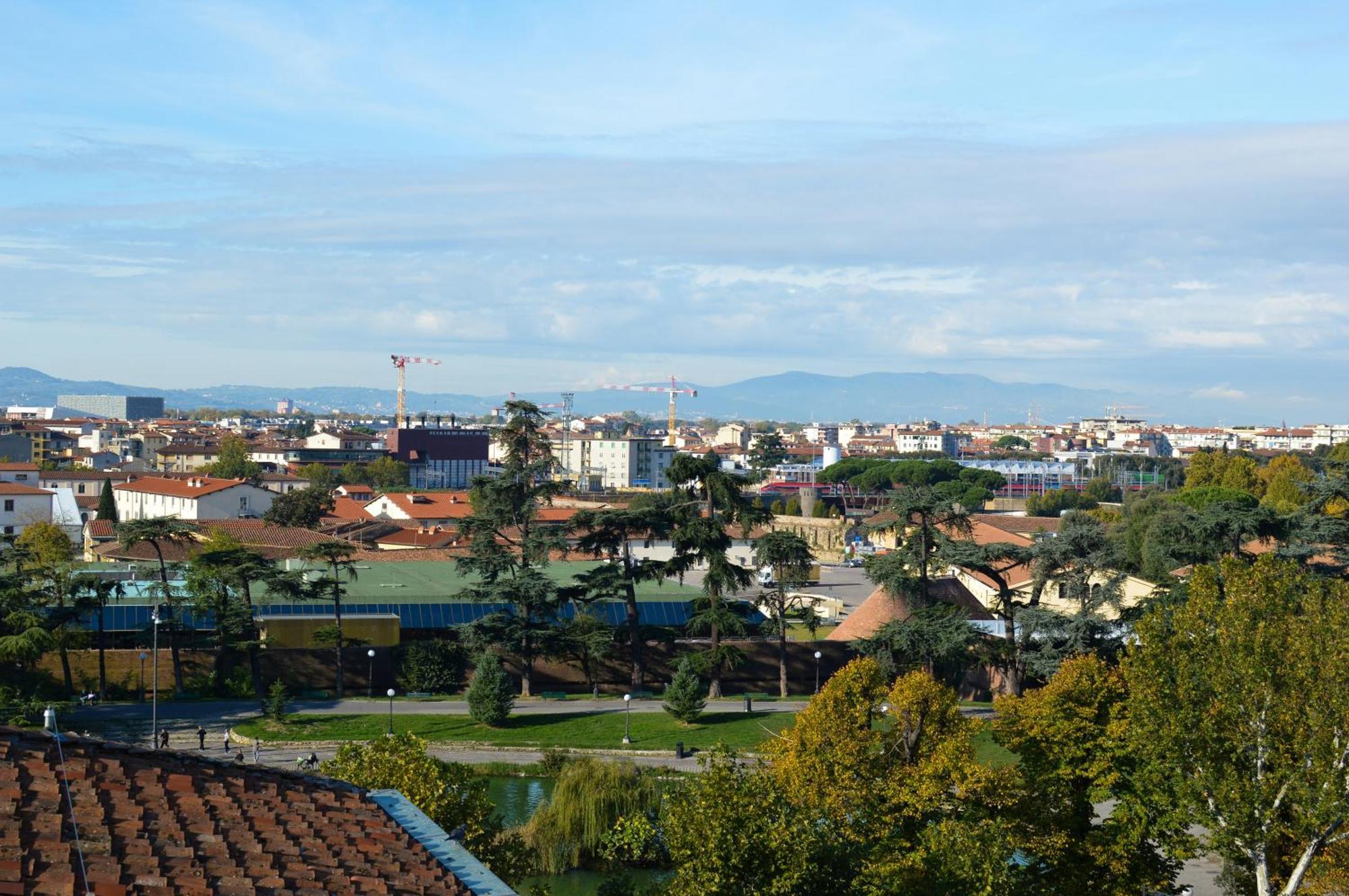 Suite Terrace