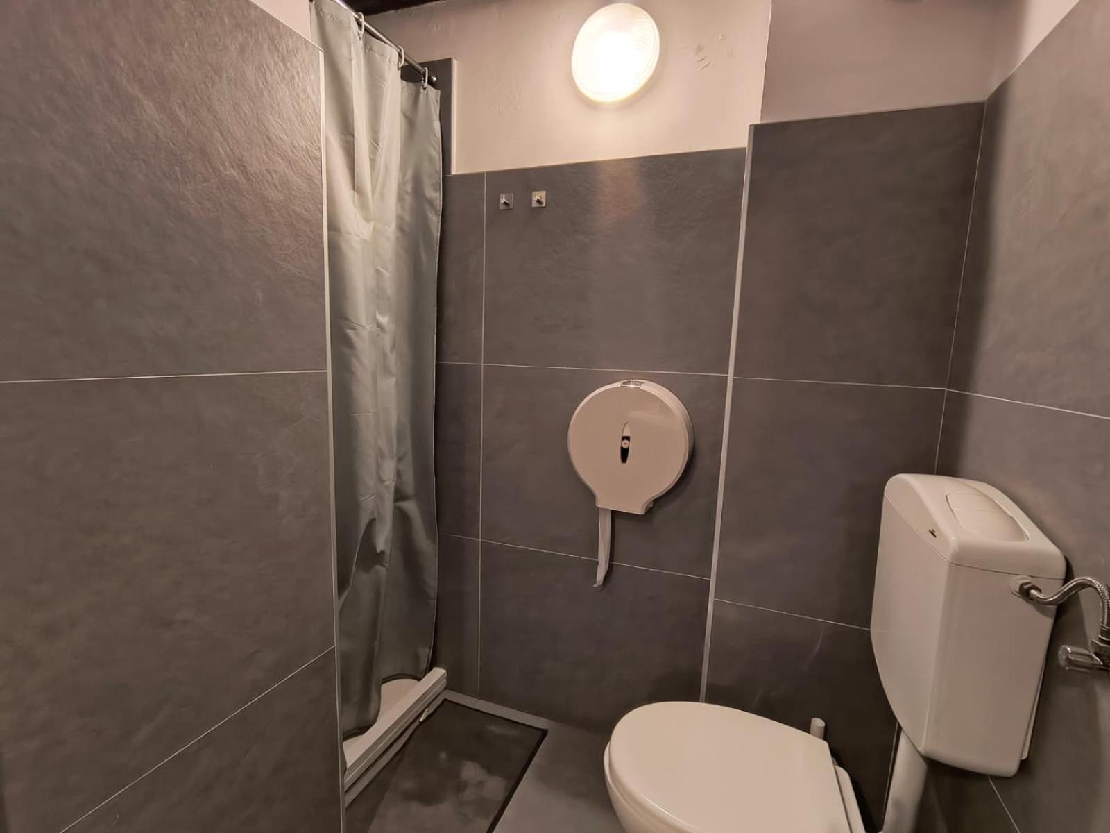 Single Bed 3-Bed Mixed Dormitory Room,1758479583:JPEG