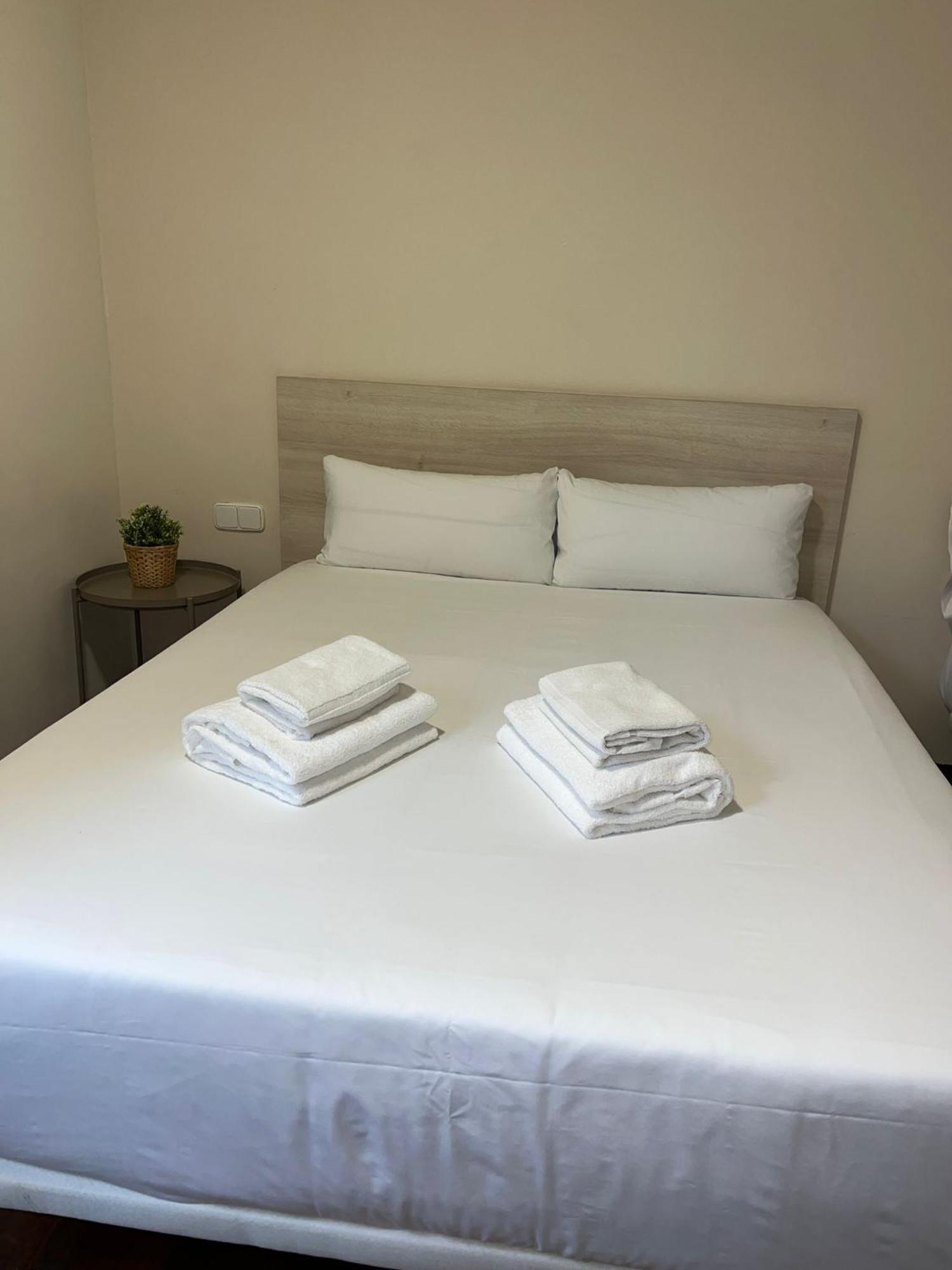 Budget Double Room,1766810646:JPEG